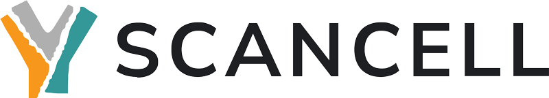 Scancell Holdings